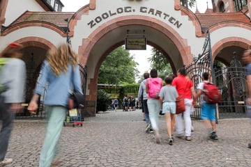 Es kommen wieder mehr Touristen nach Sachsen