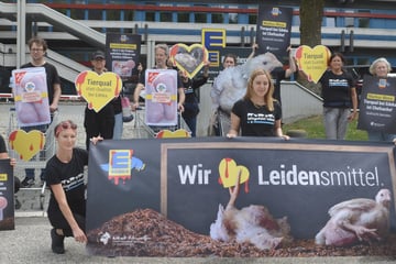 Hamburg: Nach Bianca "Bibi" Claßen und Greenpeace: Erneut Proteste gegen Edeka