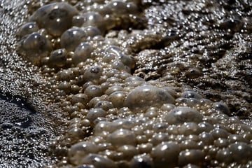 Havarie an Kanal: Abwasser strömt über Stunden in die Umwelt