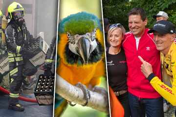 Rückblick auf September bis Dezember: Das waren die Schlagzeilen des Jahres in Sachsen