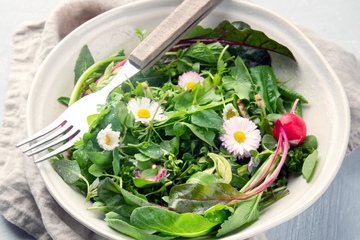 Schön und gesund: Mit Gänseblümchen den Salat aufwerten