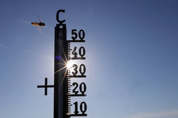 Besorgniserregende Schätzung: Fast 10.000 Hitze-Tote in diesem Jahr!