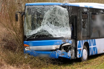 Mit 17 Kindern besetzter Schulbus kracht frontal mit Lkw zusammen