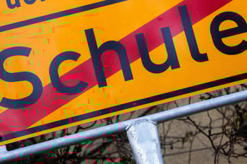 Junge will partout nicht in Schule, doch das rüttelt den Schwänzer wach