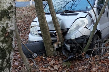 Gegen Baum gekracht: Zwei 14-Jährige bei Unfall verletzt