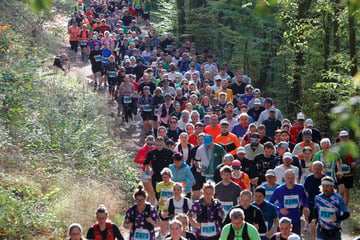 Harz-Gebirgslauf: Rund 4000 Menschen rennen den Brocken hoch