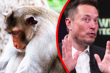 Elon Musk: Nach umstrittenen Tier-Versuchen: Elon Musk will Neuralink-Implantat jetzt an Menschen testen!