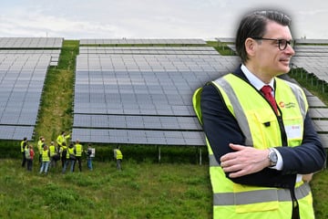 Dresden: Immer lebe die Sonne: Dresdens größter Solarpark auf alter DDR-Müllkippe
