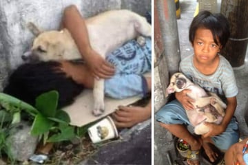Frau bricht in Tränen aus, als sie sieht, was ein Straßenkind mit seinem Hund macht