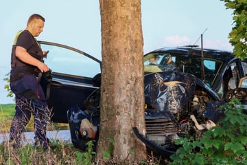 Ford Fiesta gegen Baum gekracht: Fahrerin schwebt in Lebensgefahr