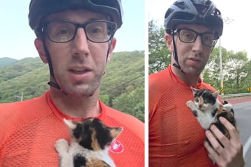 Radfahrer sieht zitterndes Kätzchen am Straßenrand, dann trifft er eine Entscheidung