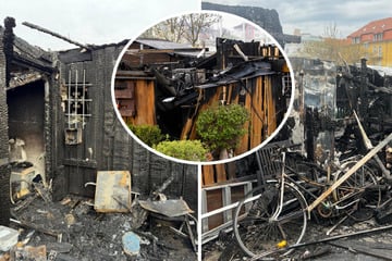 Dresden: Flammen verwüsteten ihren Garten: Dresdner Familien kämpfen um ihre Wohlfühloasen