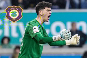 Lord sichert Aue einen Zähler beim besten Heimteam der 3. Liga