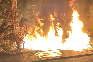 Mülltonnen brennen lichterloh: Polizei vermutet Brandstiftung und sucht Zeugen