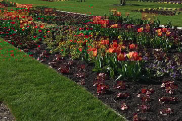 Startschuss gefallen: Landesgartenschau in Neuss lockt erste Besucher