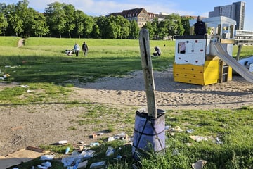 Dresden: Ärger auf Dresdner Spielplatz: Hier versinken Kinder im Müll