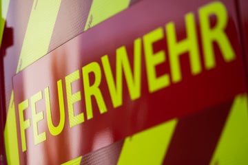 Wegen Rakete in Mülltonne? Sieben Verletzte und Millionenschaden nach Brand