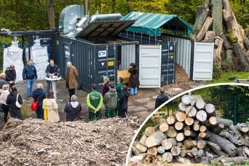 Dresden: Neue Anlage soll Abfälle in wertvollen Rohstoff wandeln: Im Großen Garten wird jetzt Holz verkohlt