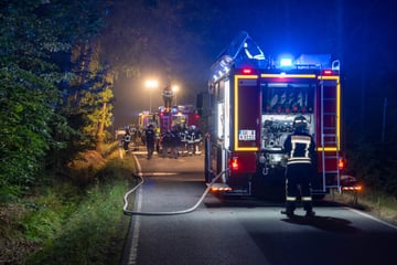 Schon wieder Feuer bei Zittau! Polizei geht von Brandstiftung aus