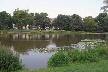 Frau fischt Küken aus Leipziger Teich, um es zu Hause aufzuziehen