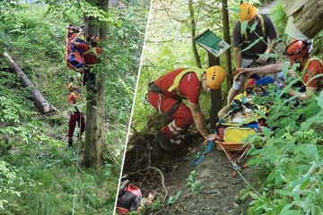 Rettung per Seilbahn: Wanderin (89) stürzt in die Kirnitzsch