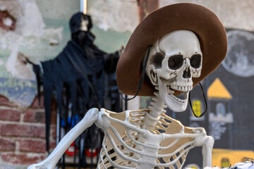 Chemnitz: Halloween-Trubel in Chemnitz: Hier macht das Gruseln schrecklich Spaß