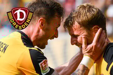 Wiedersehen beim Testspiel: So denkt Dynamos Daferner über Ex-Dresdner Sollbauer!
