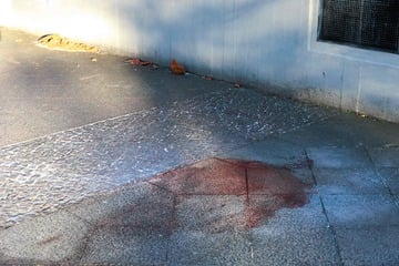 Berlin: Todes-Drama am Ostermontag in Berlin: Mann von herabstürzenden Blumenkübel erschlagen