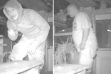 Einbrecher und Langfinger in Gartenlaube gefilmt: Wer kennt das Duo?