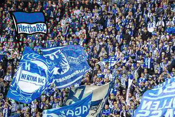 Co-Trainer kehrt Hertha BSC den Rücken - Torhüter muss operiert werden