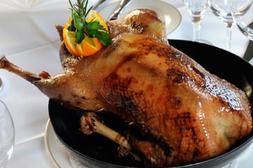 Keine Panik um die Martinsgans - Experten geben trotz Vogelgrippe Entwarnung