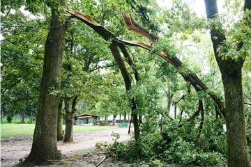 Unwetter-Warnungen für Sachsen-Anhalt: Ex-Hurrikan Kirk bringt kräftigen Sturm ins Land