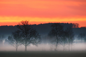 Tag und Nacht jetzt gleich lang! Der astronomische Frühling beginnt