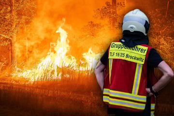 Feuerdrama in der Gohrischheide: Seit drei Tagen Kampf gegen die Flammen