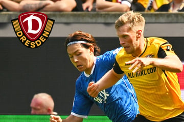 Dynamo-Dresden-Blog: Jonas Sterner in der Kicker Elf des Tages