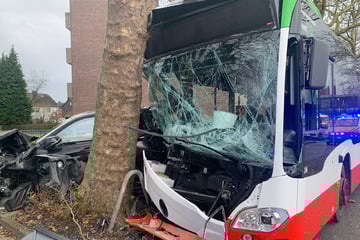 Elf Verletzte nach schwerem Busunfall: Drama um eingeklemmten Fahrer