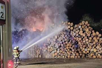 Feuer im Sägewerk: Hunderte Baumstämme gehen in Flammen auf