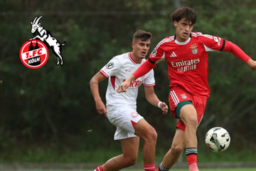 1. FC Köln landet nächsten Transfer-Coup: Portugal-Juwel kommt von Benfica Lissabon
