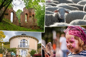 Dresden: 8 Tipps für Euren Sonntag in Dresden und Umgebung