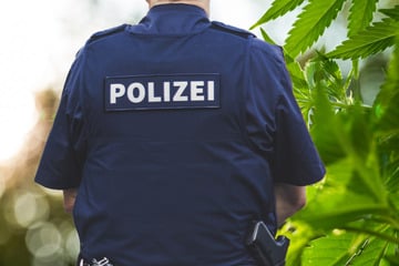 Besitzer war gleich vor Ort: Polizei will Einbruch verhindern und stößt auf Hanf-Plantage