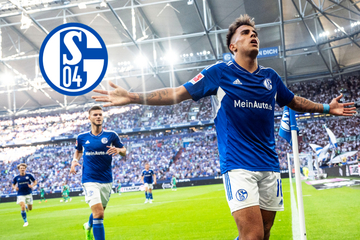 Vier-Augen-Gespräch auf Schalke führt offenbar zu Spieler-Wut: Star stürmt wohl aus Kabine!