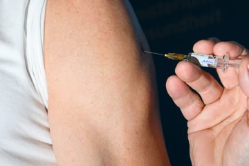 Neue Influenza-Variante in Sachsen-Anhalt angekommen