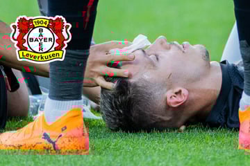 Ellenbogen-Check und blutig raus: Erste Entwarnung um Alejandro Grimaldo