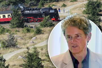 Millionenlücke bei der Harzer Schmalspurbahn: Droht jetzt das Aus?