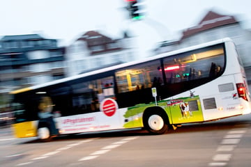 Hauen, kratzen, Haare ziehen: Streit um Bus-Sitzplatz eskaliert