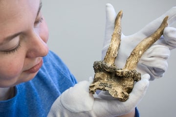 Schamanismus in Deutschland: Uralter Schmuck gibt wichtigen Hinweis