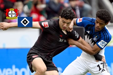HSV knöpft Bayer zum Abschluss einen Punkt ab, Werkself verpasst Königsklasse