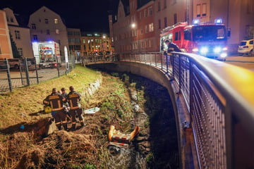 Heizöl in Biotop geflossen: Großeinsatz in Lichtenstein