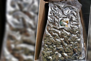 125 Kilo Marihuana versteckt zwischen Olivengläsern: Zoll macht XXL-Fund auf A9