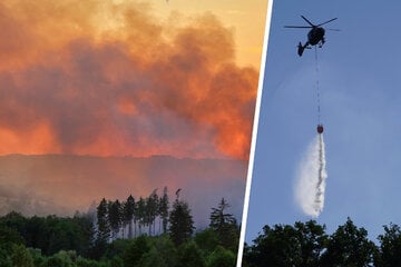 Verheerender Waldbrand in Sachsen: Löschhubschrauber aus Dresden im Einsatz